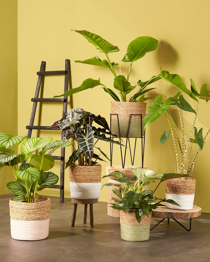 House of Seasons Ladderrek - L29 x B49 x H119 cm - Zwart