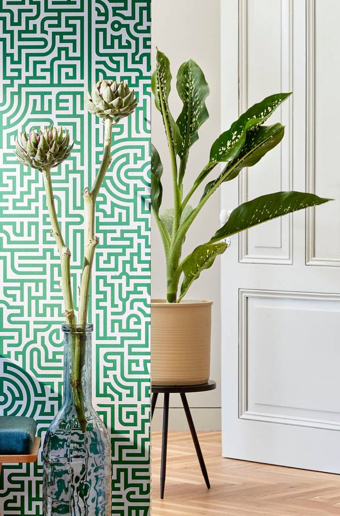 20fe35d3-36dc-40a1-b66e-46f8cf290828-afbeelding5.jpg (4983747)