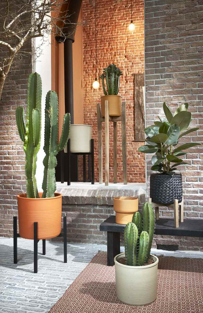 20fe35d3-36dc-40a1-b66e-46f8cf290828-afbeelding6.jpg (4983748)