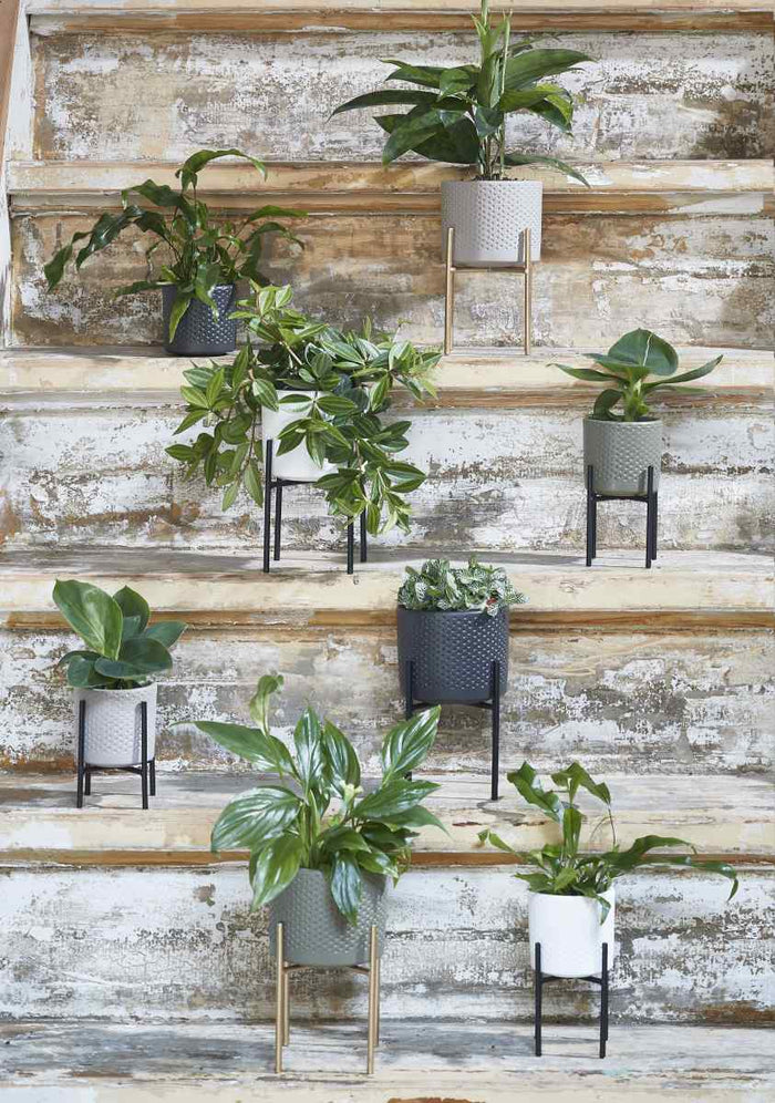 378a24c5-8ac9-478c-9d6f-e9c6223e3e4a-afbeelding6.jpg (4984777)