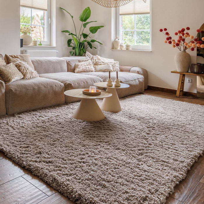 Tapeso Hoogpolig vloerkleed - Cozy Shaggy - beige - 200x300 cm