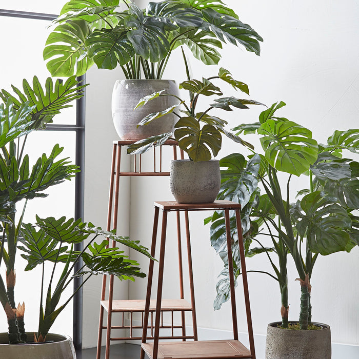 b65ac020-701f-4884-877b-ef800ab6b301-sfeerbeeld.jpg (4995841)