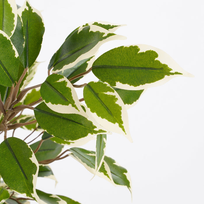 Mica Decorations Ficus Natasja Kunstplant - H40 cm - Groen Bont