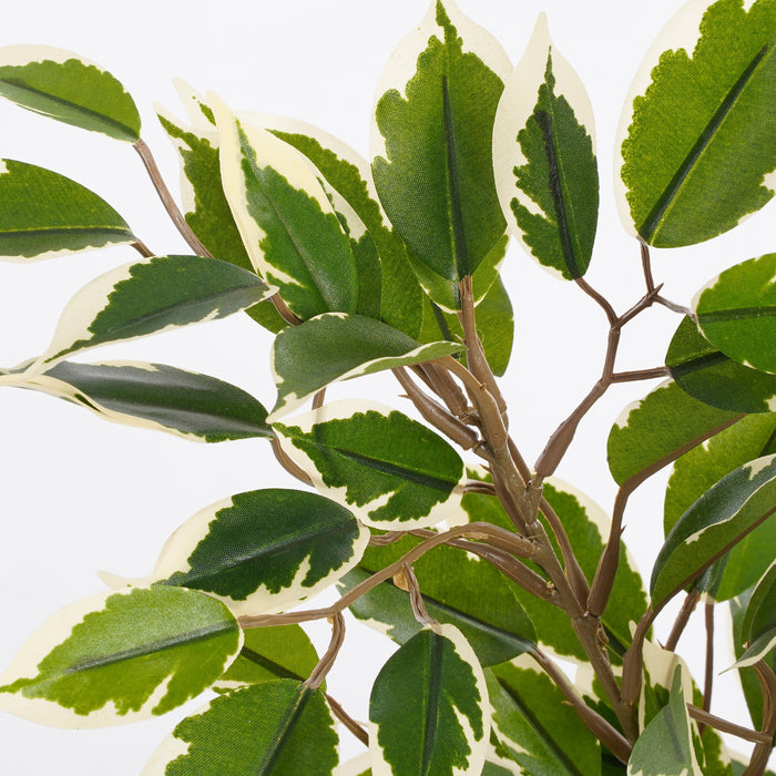 Mica Decorations Ficus Natasja Kunstplant - H40 cm - Groen Bont