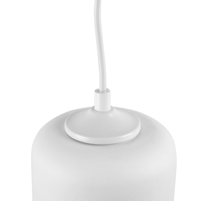 a8e71ac2-672a-40b1-aa8a-539c9f1c5b2e-afbeelding4.jpg (5003696)