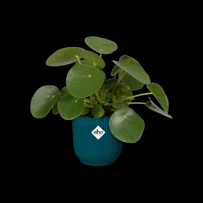 elho Vibes Fold Bloempot Ø 30 cm