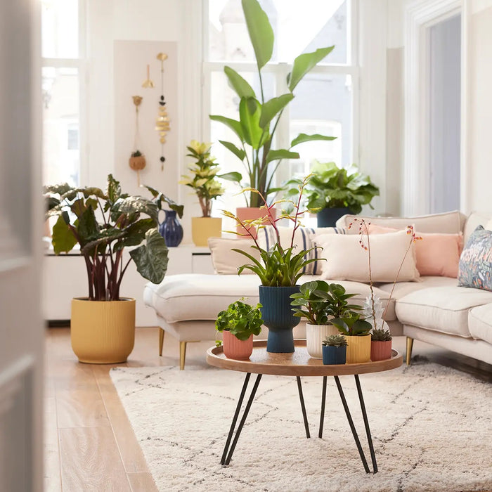 elho Vibes Fold Bloempot Ø 30 cm