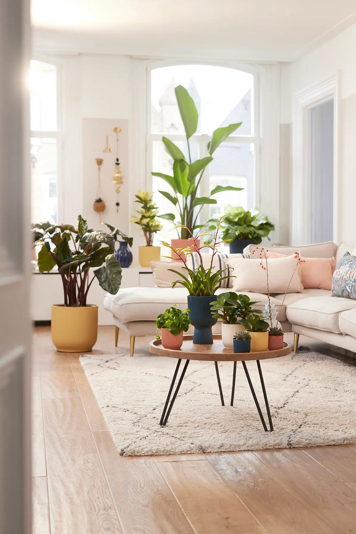 elho Vibes Fold Bloempot Ø 30 cm