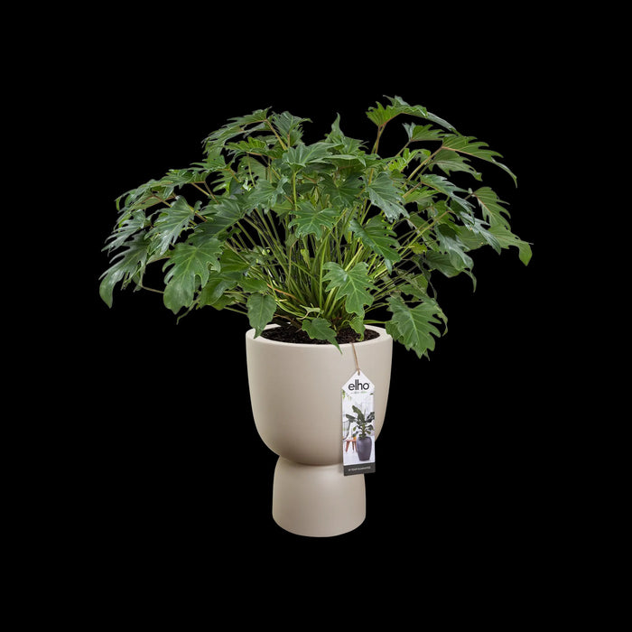 elho Pure Coupe Bloempot Ø 41 cm - Balanced Beige