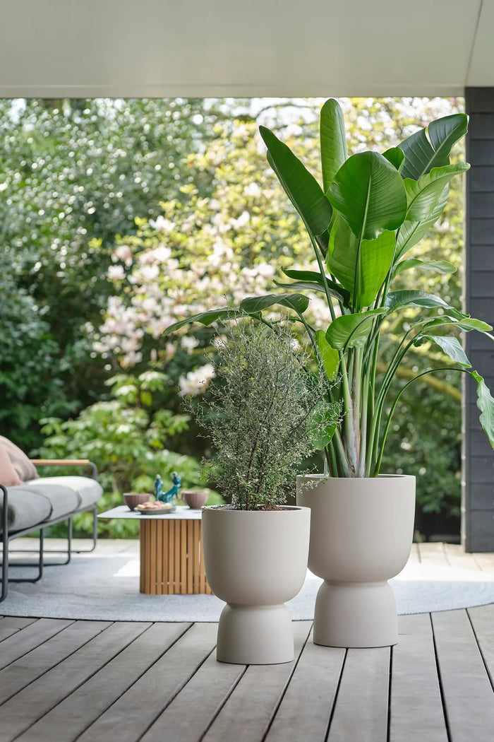 elho Pure Coupe Bloempot Ø 41 cm - Balanced Beige