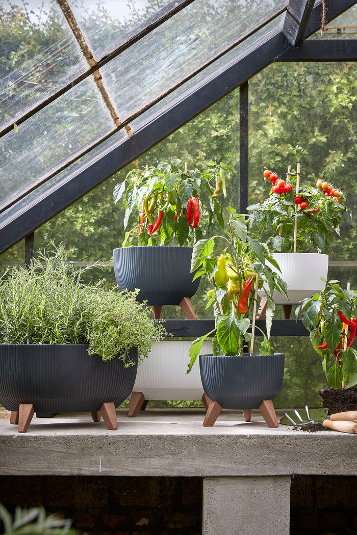 e2d588fb-9f6f-4b45-bb68-ac5f967ab673-afbeelding9.jpg (5027016)