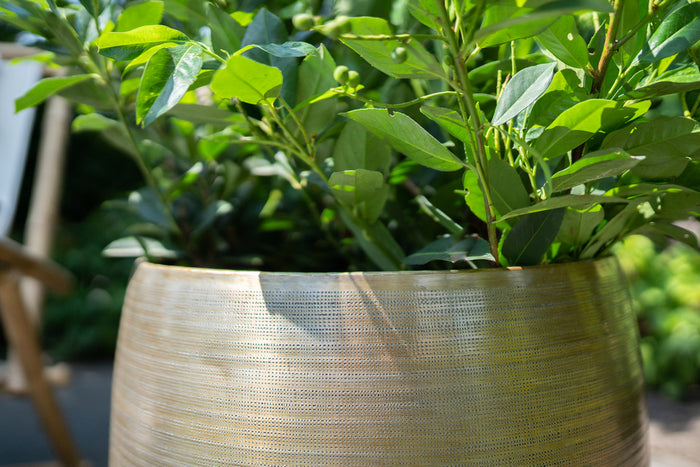 3be601d5-3e83-4de3-bc05-640ecbb57849-afbeelding3.jpg (5027172)