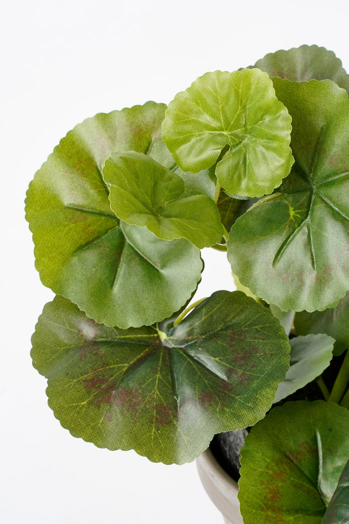 Mica Decorations Geranium Kunstplant - H34 x Ø20 cm - Wit, roze