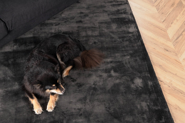 Hioshop Indra vloerkleed 300x200 cm viscose donkergrijs.