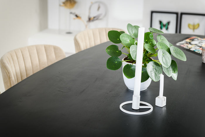 d296bc5d-a2ef-4285-934b-f3d49197e0a8-afbeelding6.jpg (5055229)