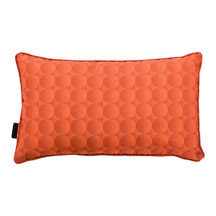 6e79f4a4-beed-4529-bb44-9505af8c4565-afbeelding3.jpg (5062391)