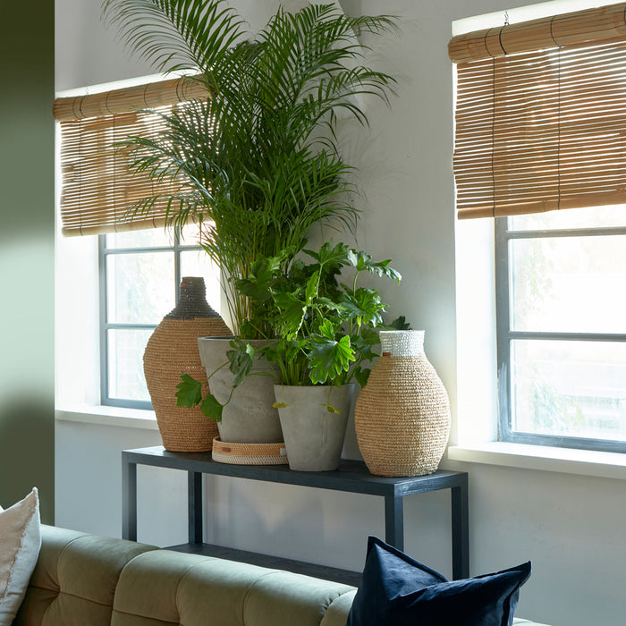 47626c2b-09b2-4457-98cd-a0af0c05449b-afbeelding11.jpg (5064755)