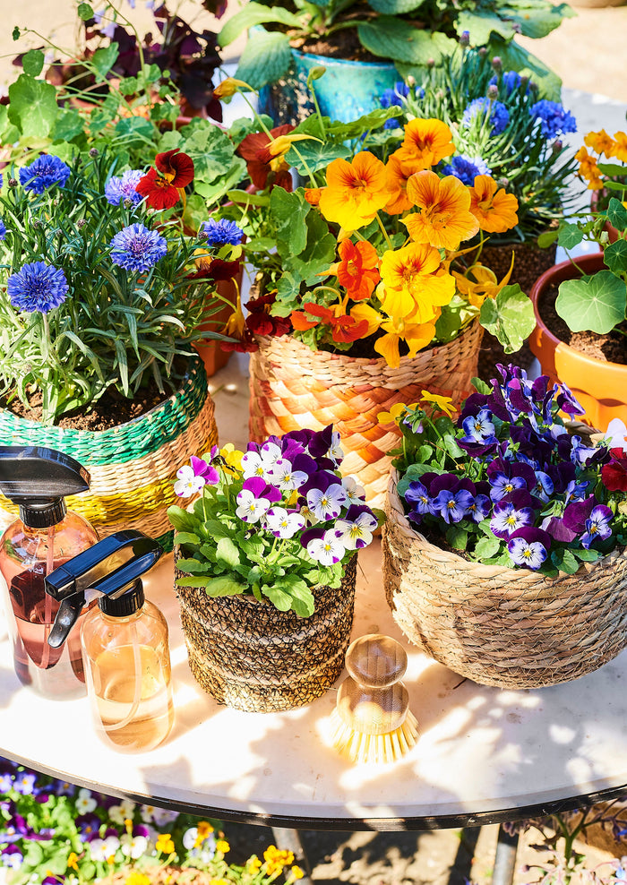 d79ad967-2508-472b-b718-02a880ebcf70-afbeelding6.jpg (5089443)