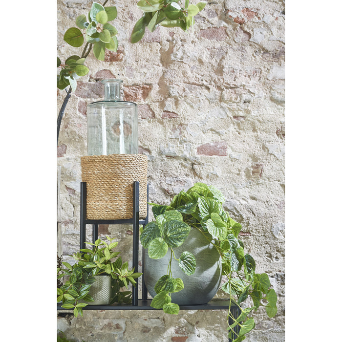 724e642f-c3d7-4882-9253-cdf507cb5d6d-afbeelding8.jpg (5089536)