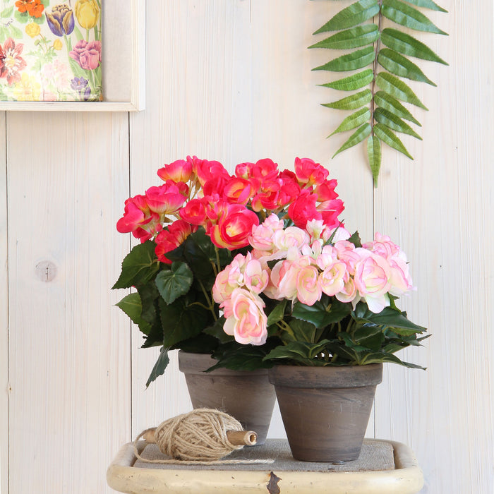 Mica Decorations Begonia Kunstplant - H30 x Ø25 cm - Donkerroze
