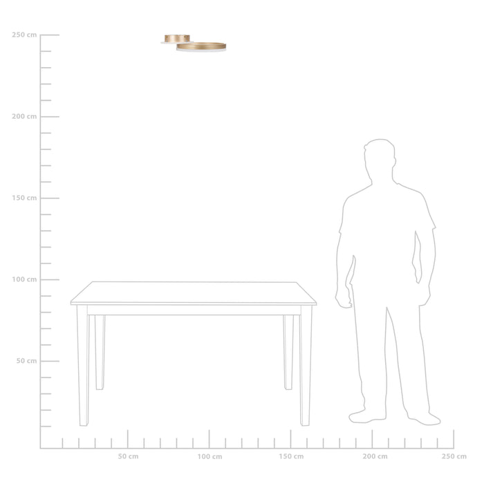 b34ea814-05b9-4813-9cf7-7fa673bc1060-afbeelding7.jpg (5111956)