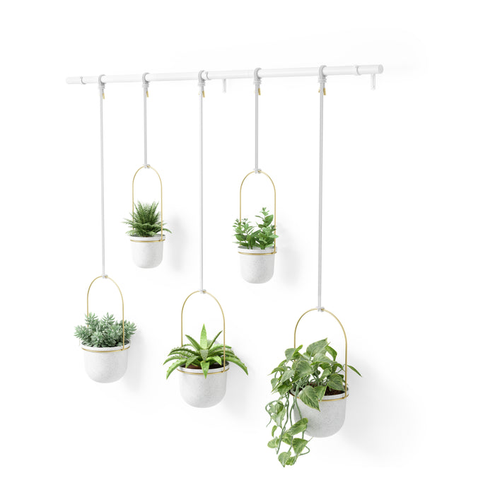 Umbra Triflora Hangende Bloempotten 5