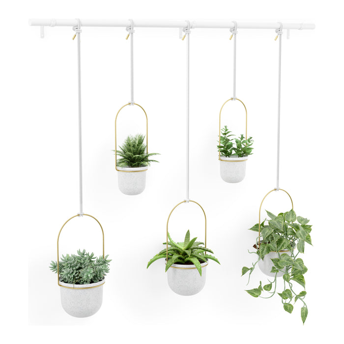 Umbra Triflora Hangende Bloempotten 5