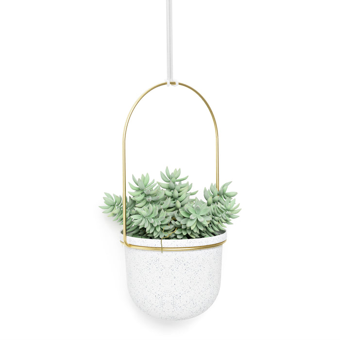 Umbra Triflora Hangende Bloempotten 5