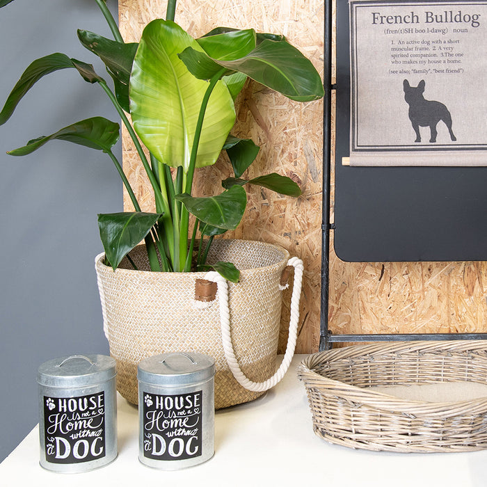 Clayre & Eef Hondenmand 74x57x19 cm Grijs Rotan