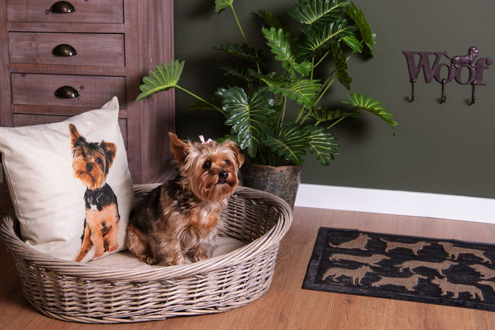 Clayre & Eef Hondenmand 74x57x19 cm Grijs Rotan