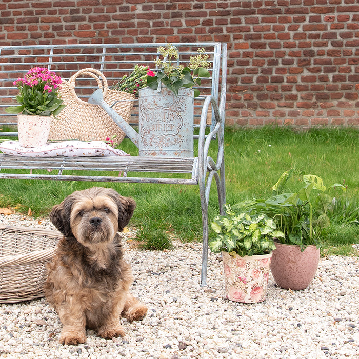 Clayre & Eef Hondenmand 74x57x19 cm Grijs Rotan