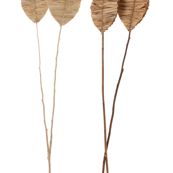 670c476c-2433-4b9d-b3a5-565018e471f4-sfeerbeeld.jpg (5147206)