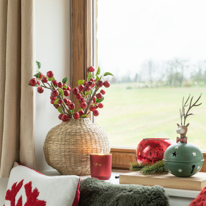 59d1b11f-b7e9-44c4-8657-755d1be39677-afbeelding5.jpg (5149051)