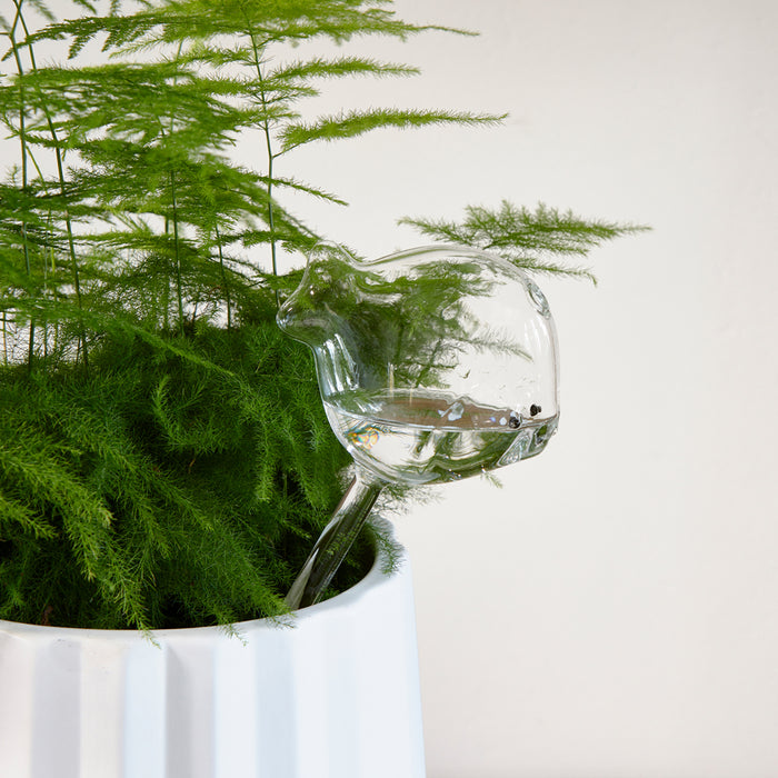 Riviera Maison waterdruppelaar voor planten, vorm van vis - Fish Water