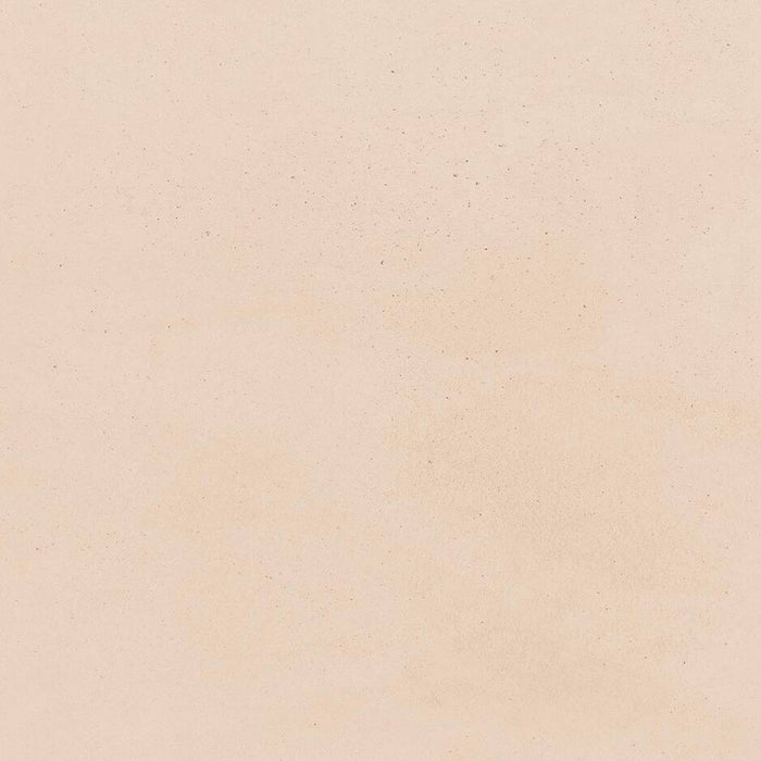 469bdd5d-b9ef-4a20-a88d-dc8406894c22-afbeelding8.jpg (5179185)