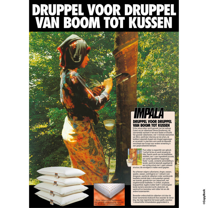 NachtrustOnline - Latex Kussen- 40x70cm