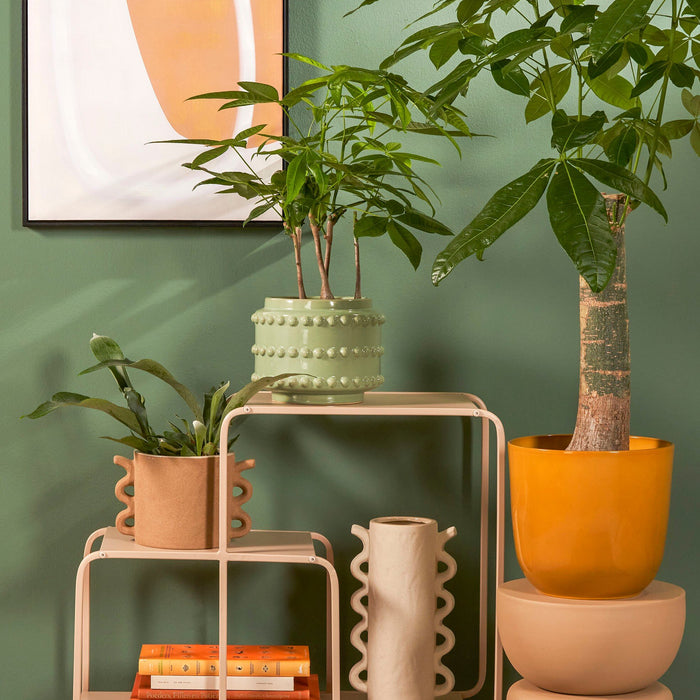 Mica Decorations Jules Wandkast - L70 x B30 x H76 cm - Lichtbruin