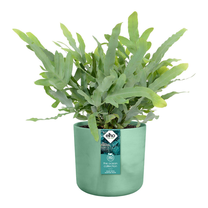 elho The Ocean Bloempot Round Ø 16 cm - Groen