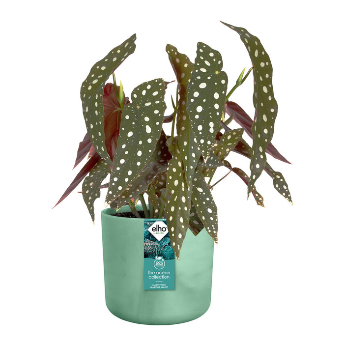 elho The Ocean Bloempot Round Ø 14 cm - Groen