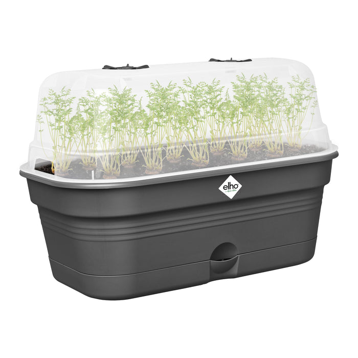 elho Green Basics Kweektray L - Zwart