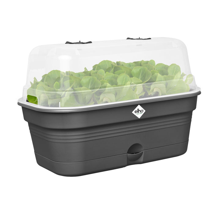 elho Green Basics Kweektray L - Zwart