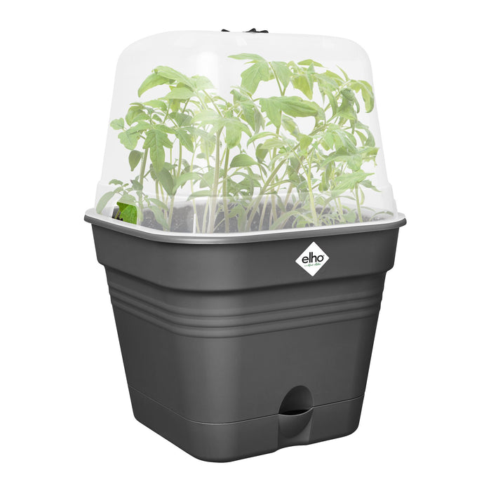 elho Green Basics Kweekpot B 15 x B 15 cm - Zwart