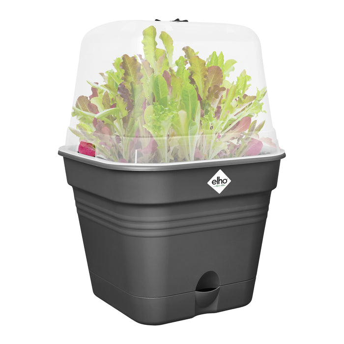 elho Green Basics Kweekpot B 25 x B 25 cm - Zwart