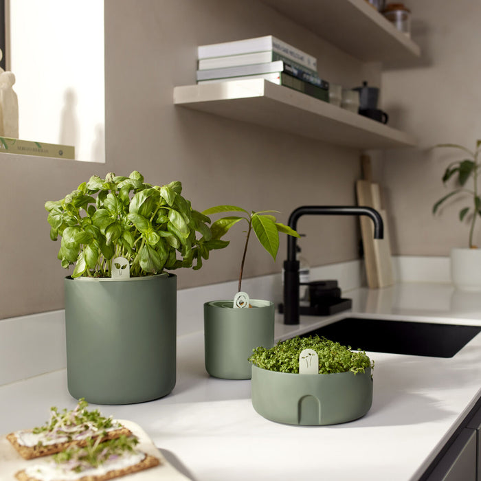 elho Amazing Avocado Pot Ø 12 cm - Groen