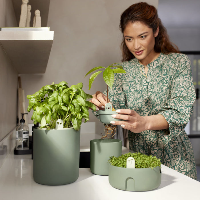 elho Amazing Avocado Pot Ø 12 cm - Groen