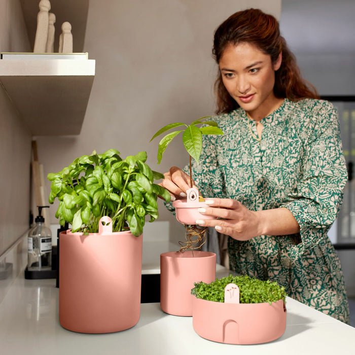 elho Amazing Avocado Pot Ø 12 cm - Roze