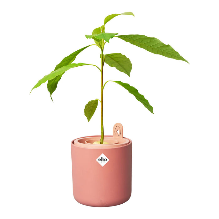 elho Amazing Avocado Pot Ø 12 cm - Roze
