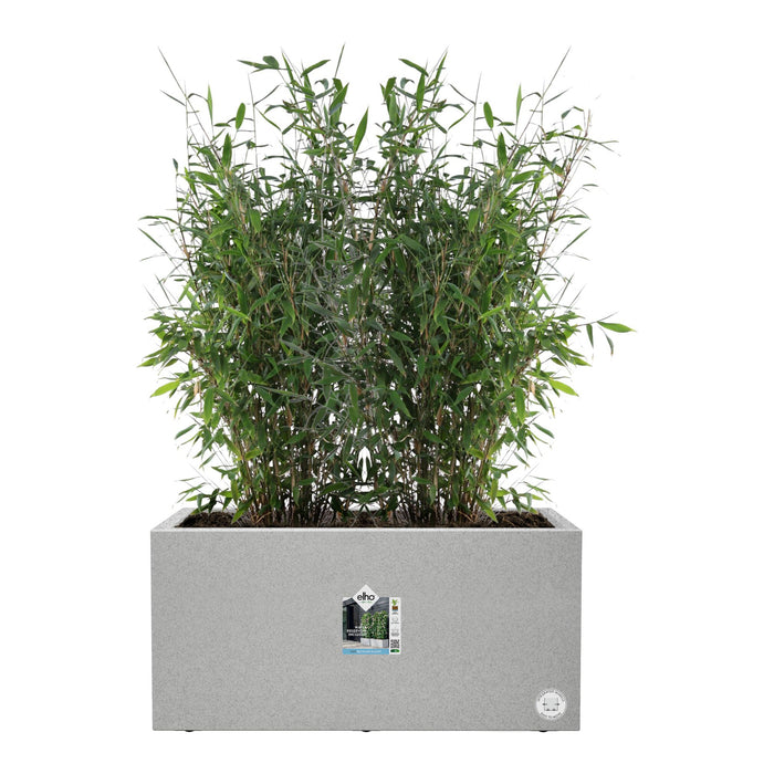 elho Vivo Next Plantenbak B 60 cm - Grijs