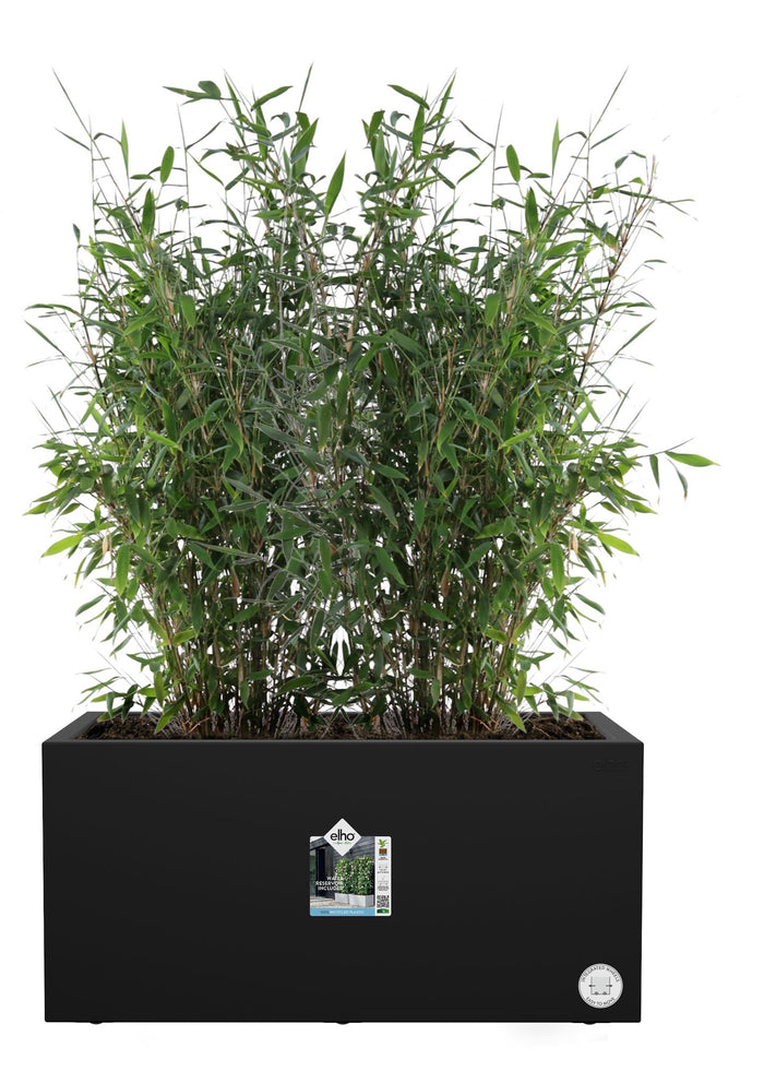 elho Vivo Next Plantenbak B 60 cm - Zwart