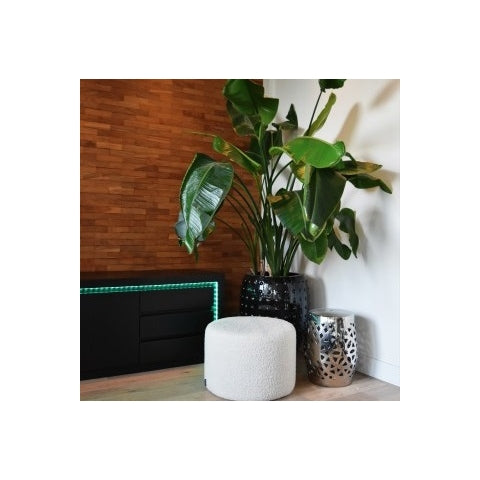 Calex Slimme LED Strip 2 meter - RGB - Met App en Afstandsbediening